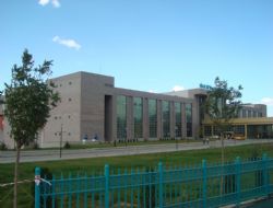 Yunus Emre'de şüpheli ölüm